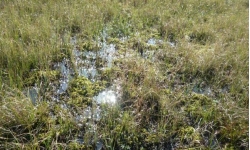Kosení mokřadu Rybník Karhov