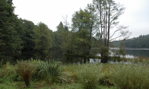 Kosení přírodní rezervace Rybník Starý
