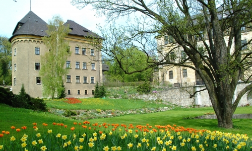 Pěstební opatření v zámeckém parku zámku Velké Meziříčí